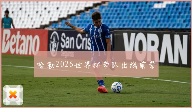 哈勒2026世界杯带队出线前景