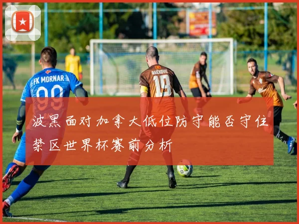 波黑面对加拿大低位防守能否守住禁区世界杯赛前分析