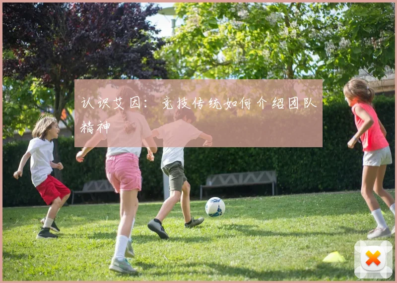 认识艾因：竞技传统如何介绍团队精神