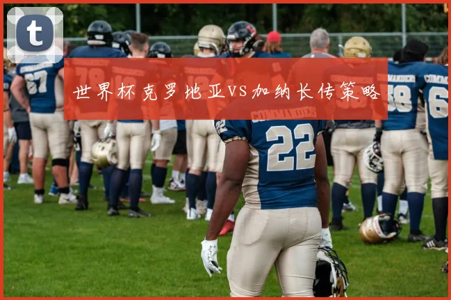 世界杯克罗地亚vs加纳长传策略