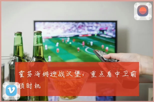 霍芬海姆迎战汉堡，重点看中卫前顶时机
