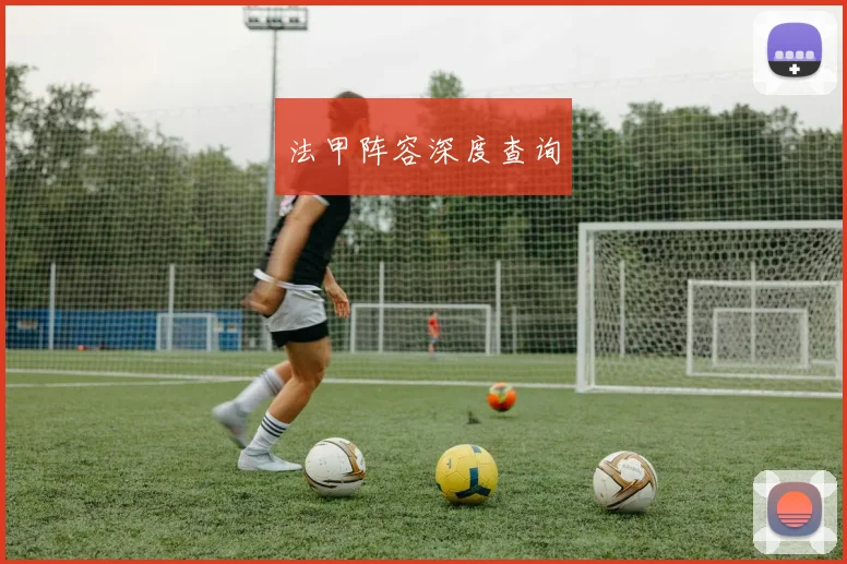 法甲阵容深度查询